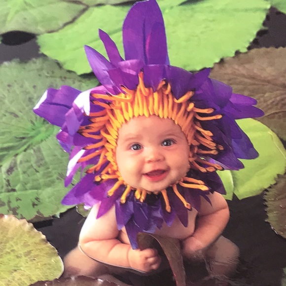 Anne Geddes Down in the Garden hardcover - Picture 7 of 9